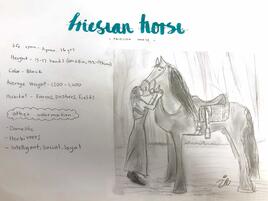 drawing of Friesian horse and its rider nuzzling noses
