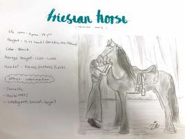 drawing of Friesian horse and its rider nuzzling noses