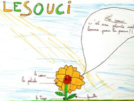 drawing of a sunflower with diagramming of all its parts