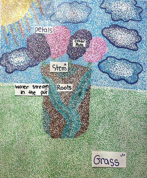 pointillist drawing of a plant and grass with diagramming of various parts
