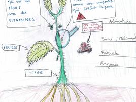 drawing of a nettle and a diagram of its parts