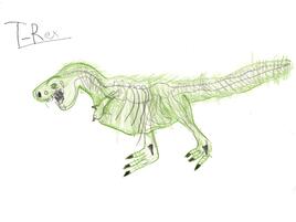 drawing of a T. rex