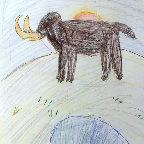 drawing of a woolly mammoth