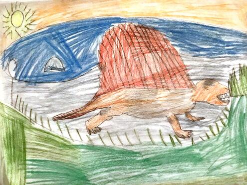 drawing of a Dimetrodon