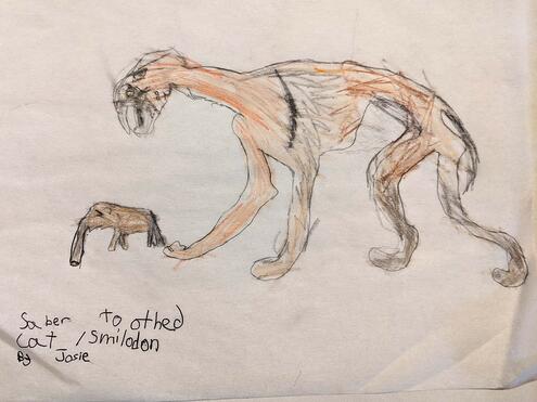 drawing of a smilodon sneaking up on its prey