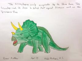 illustration of a Triceratops