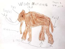 drawing of a woolly mammoth