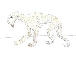 drawing of a saber-toothed cat