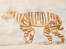 drawing of a saber-toothed cat