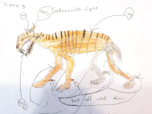drawing of Saber-Toothed Tiger