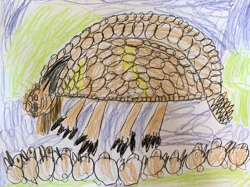 drawing of a Glyptodon claviers