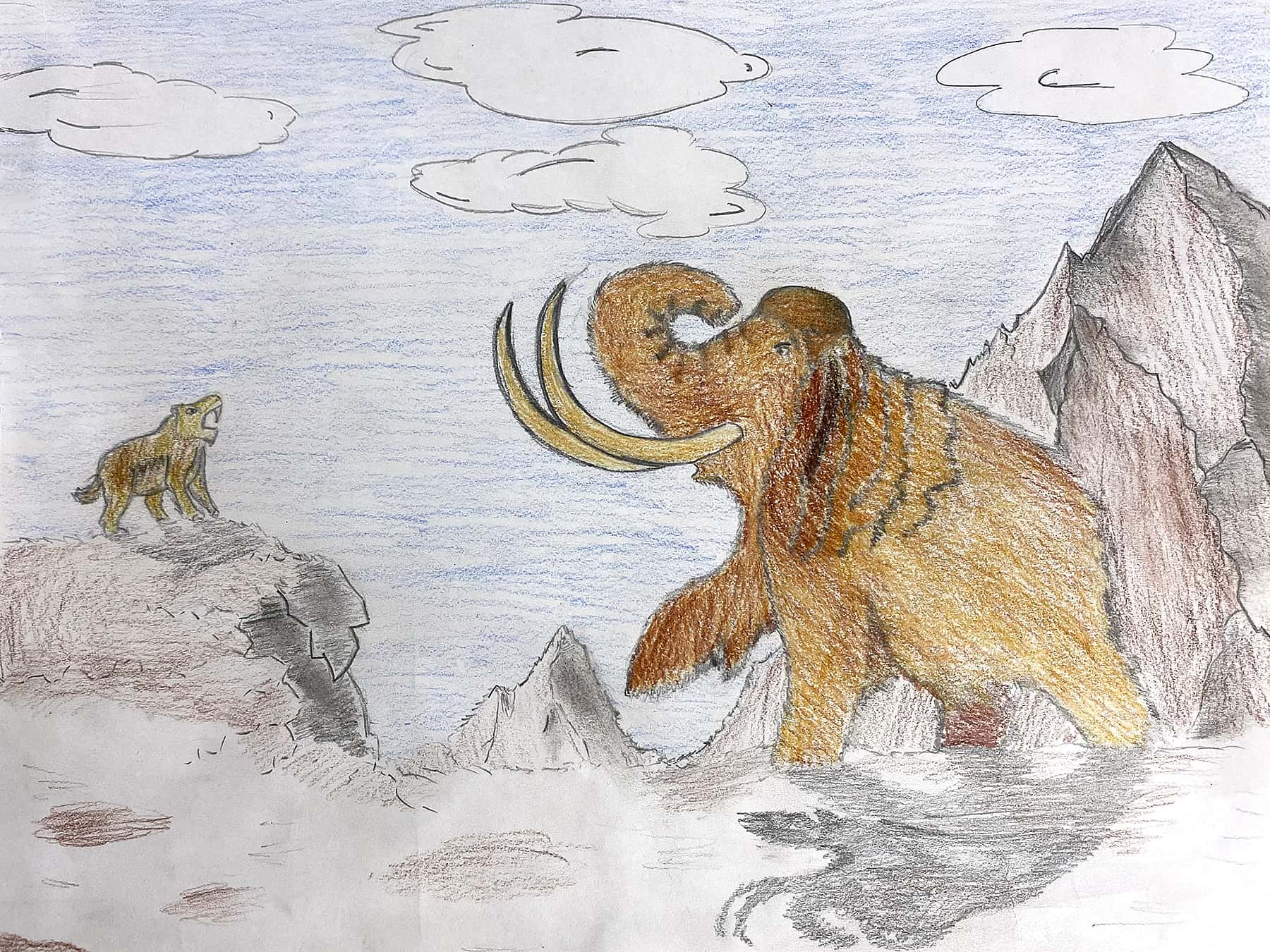 Draw An Extinct Mammal Challenge Winners | Amnh