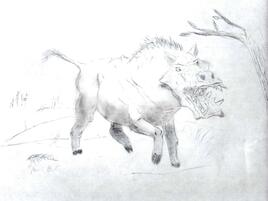 illustration of a ferocious entelodont roaming the wilderness