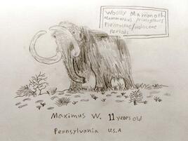 illustration of a woolly mammoth