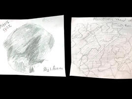 drawing of an igneous rock on the left and the same rock on the right under magnification