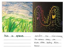 drawing of a grassy field on the left and grass under major magnification on the right