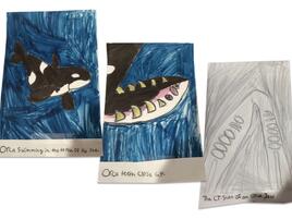 drawing of an orca on the left, a close up of it's jaw in the middle, and a CT scan of the jaw on the right