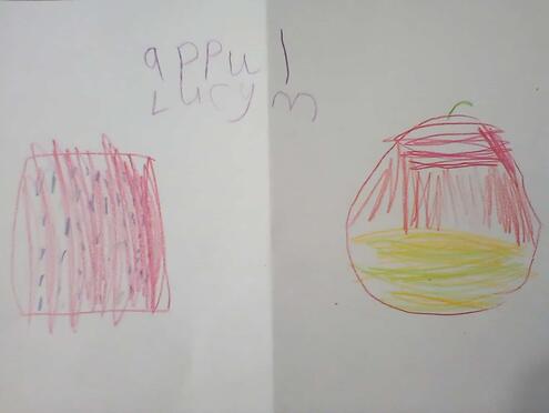 drawing of apple under the microscope on the left and a whole apple on the right