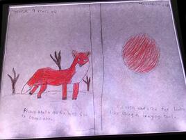 drawing of a fox on the left and fox fur under the microscope on the right