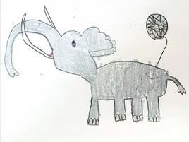 drawing of an elephant with a circle showing a close up of elephant skin