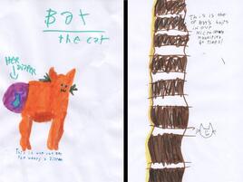 a drawing of a cat on the left and cat hair under the microscope on the left