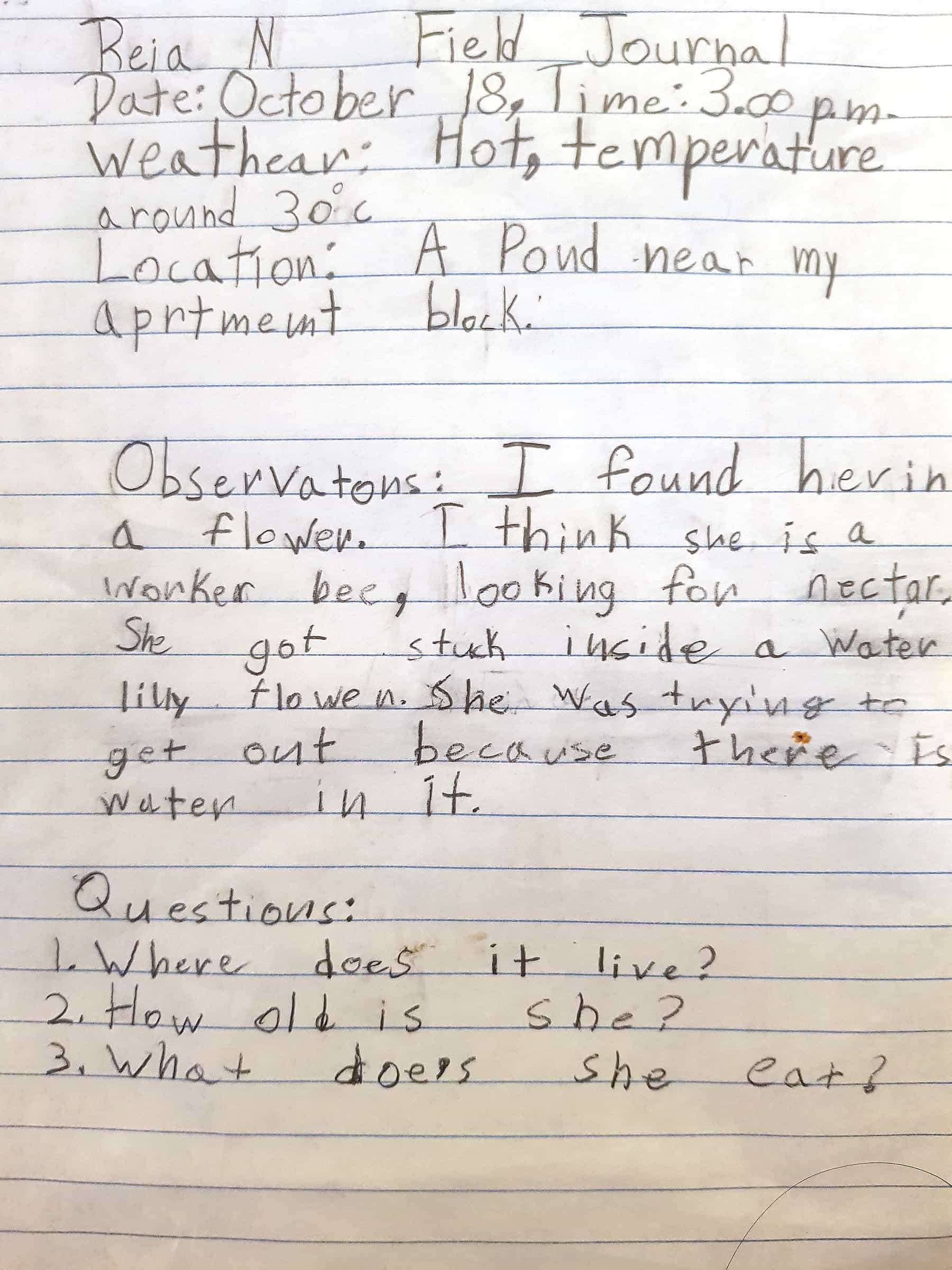 Keep a Field Journal Challenge Winners AMNH