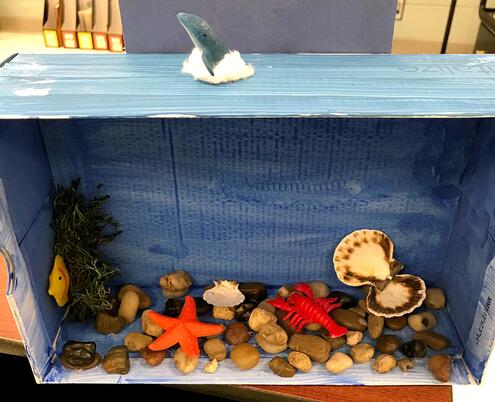 diorama of marine life