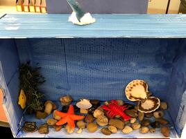 diorama of marine life