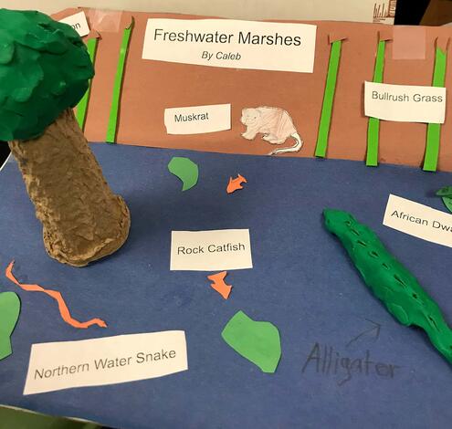 diorama of a freshwater marsh