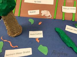 diorama of a freshwater marsh