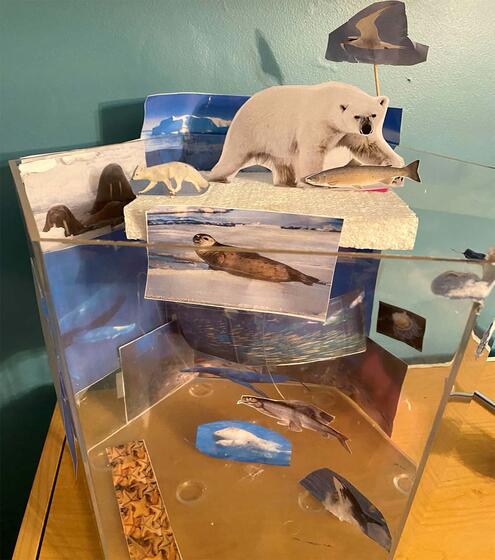 diorama of arctic marine ecosystem