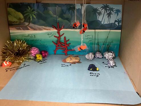 diorama of a coral reef ecosystem