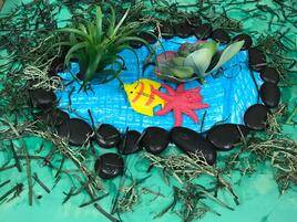 diorama of a pond