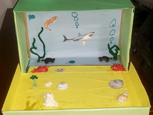 marine ecosystem diorama