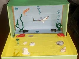 marine ecosystem diorama