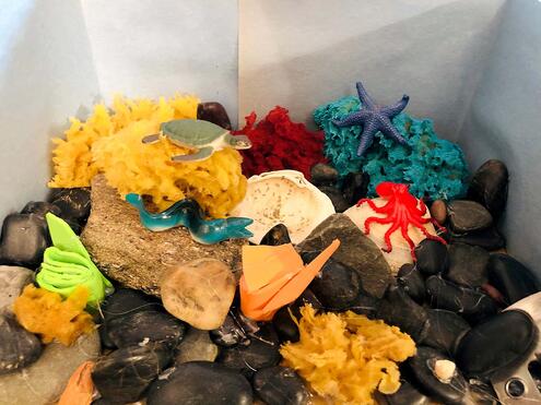 coral reef diorama