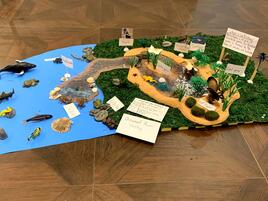 Make a Marine Ecosystem Diorama Challenge Winners | AMNH