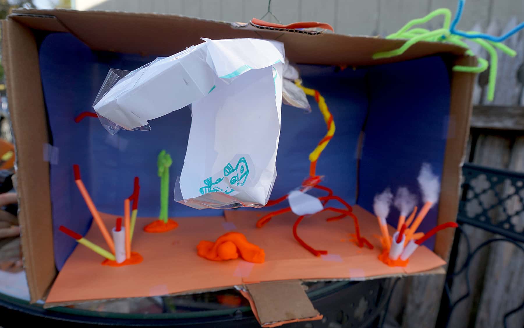 Make a Marine Ecosystem Diorama Challenge Winners | AMNH