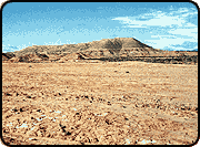 A desert landscape with a mountain the background.