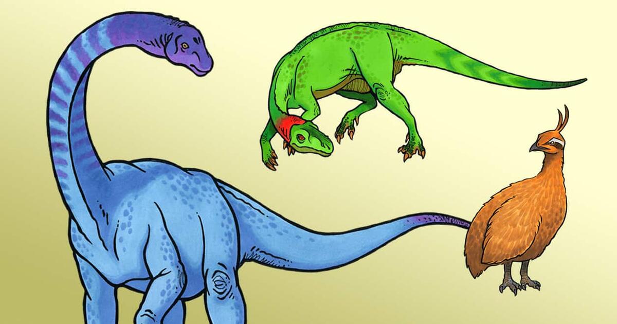 amnh t rex
