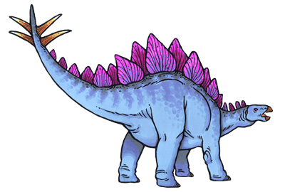 Stegosaurus stenops