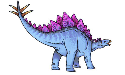 stegosaurus