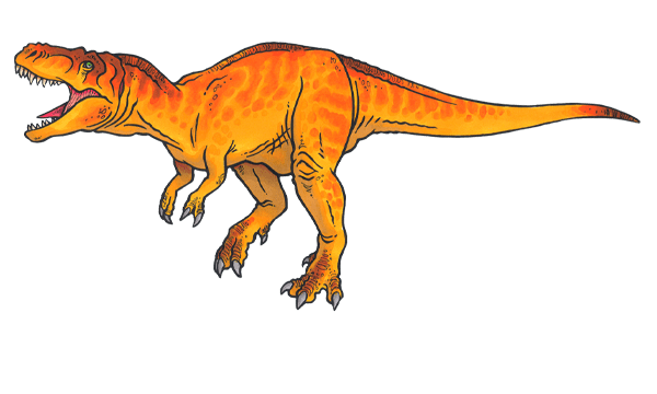 amnh t rex