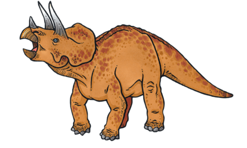 Triceratops