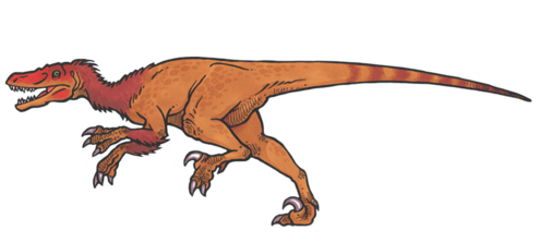 Velociraptor