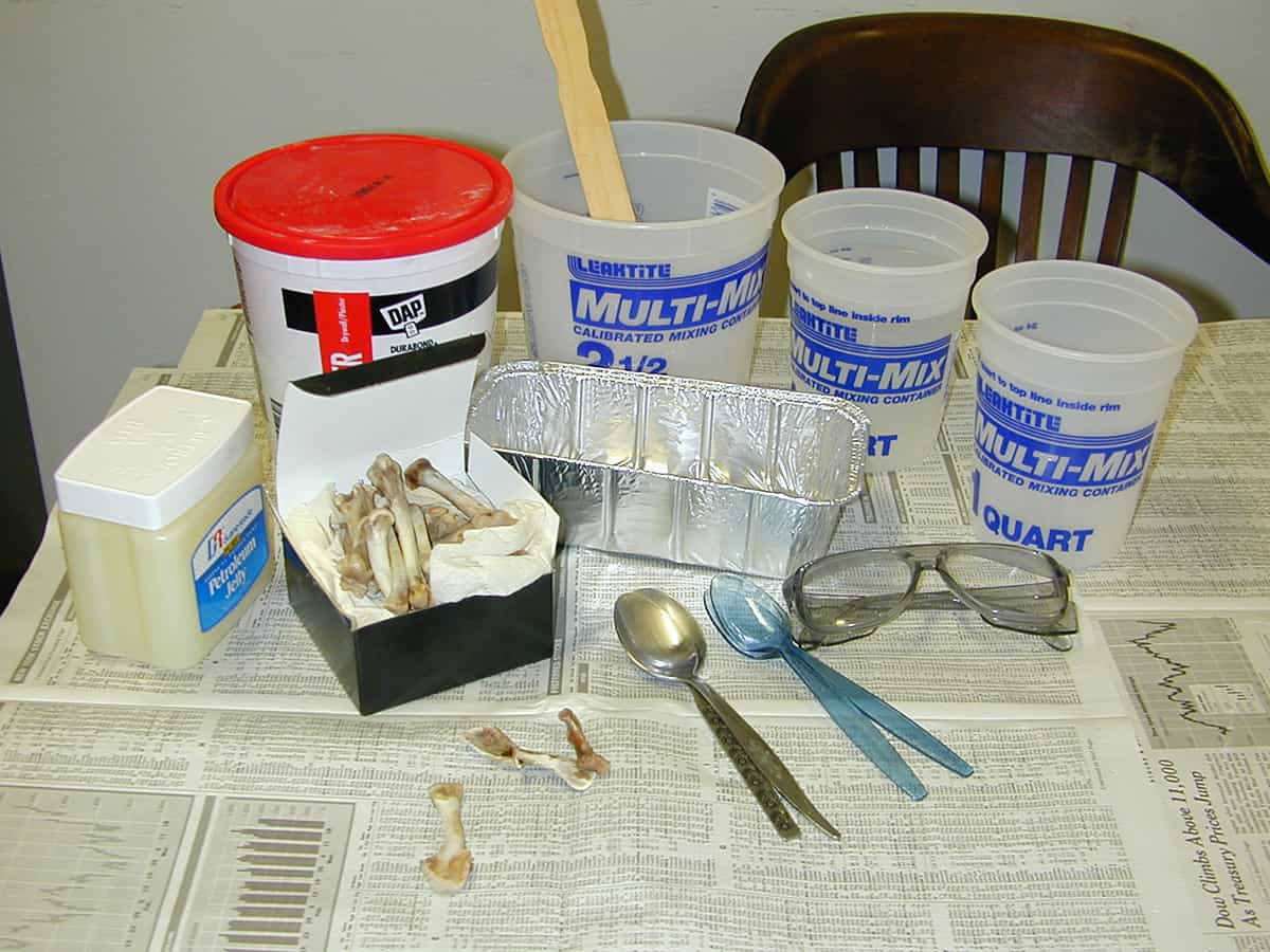 supplies needed like plaster of Paris, multiple disposable containers and aluminum tins, chicken bones, spoons, petroleum jelly
