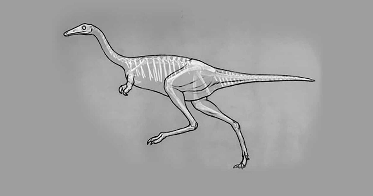 dinosaur drawing watercolor. ancient dinosaur extinct animal illustration. Dinosaur  sketch background Poster Print, 17