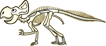 Cartoon of a Protoceratops fossil skeleton.
