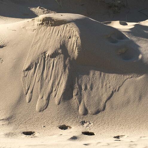 sand avalanche flowing down side of a hill