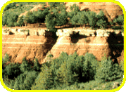 outcrop of exposed rock between trees